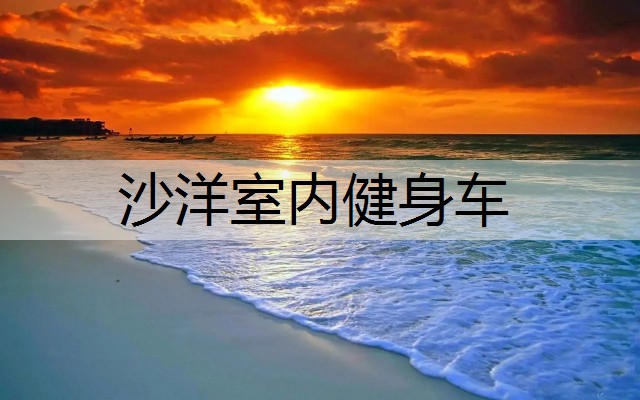 沙洋室内健身车
