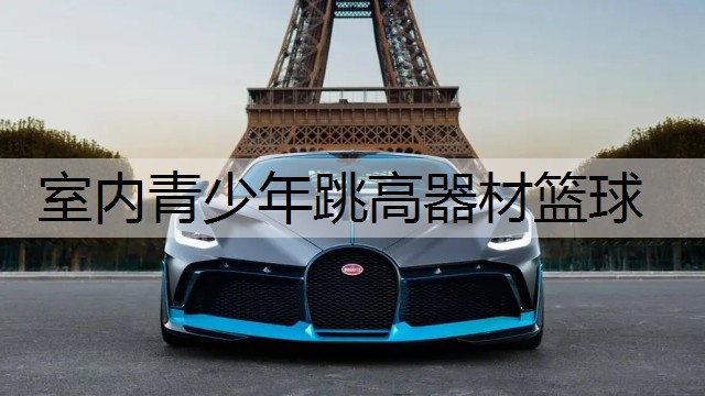 室内青少年跳高器材篮球