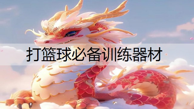 打篮球必备训练器材