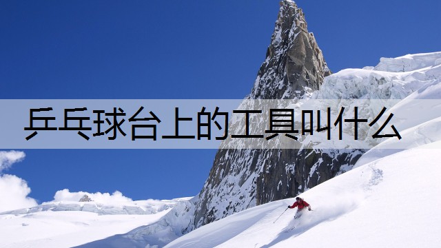 乒乓球台上的工具叫什么