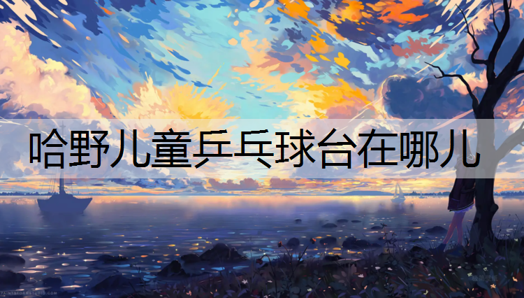 哈野儿童乒乓球台在哪儿