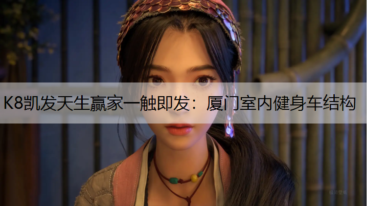 K8凯发天生赢家一触即发：厦门室内健身车结构