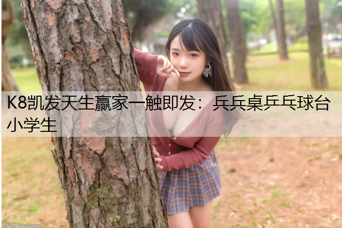 K8凯发天生赢家一触即发：兵兵桌乒乓球台小学生