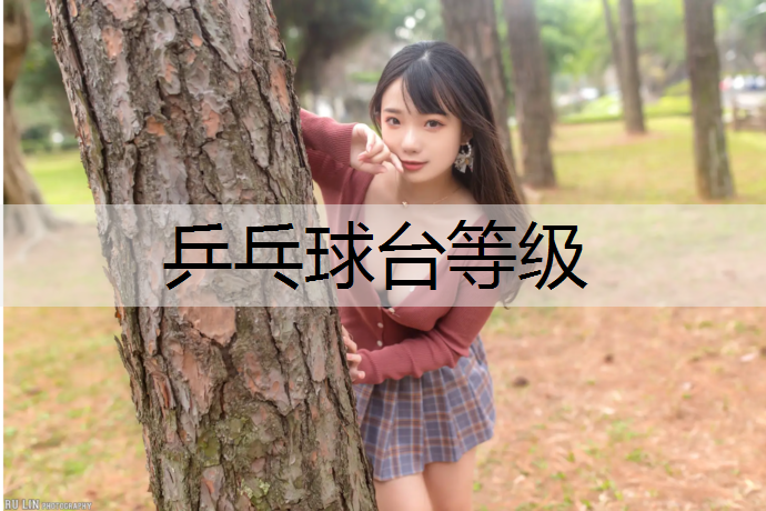乒乓球台等级