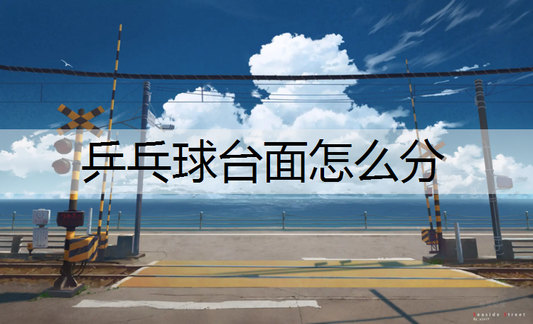 乒乓球台面怎么分