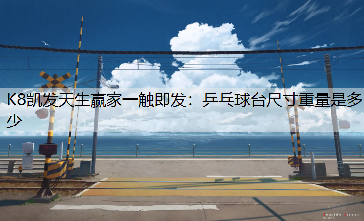 K8凯发天生赢家一触即发：乒乓球台尺寸重量是多少
