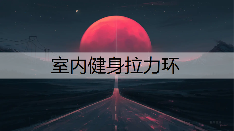 室内健身拉力环
