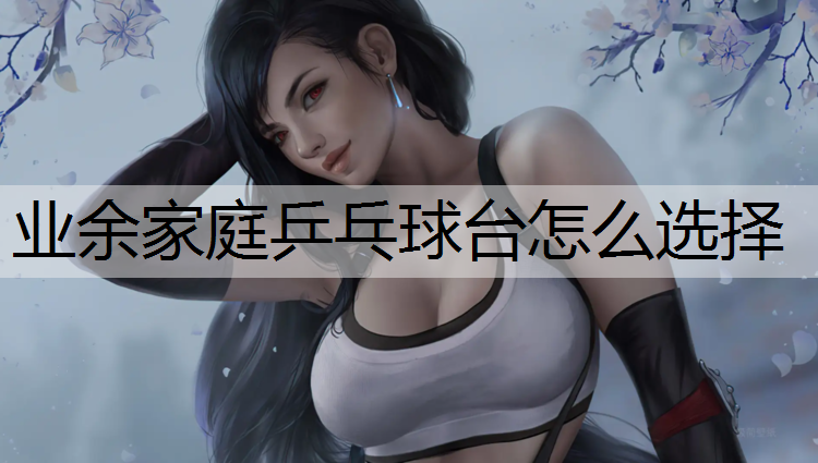 业余家庭乒乓球台怎么选择
