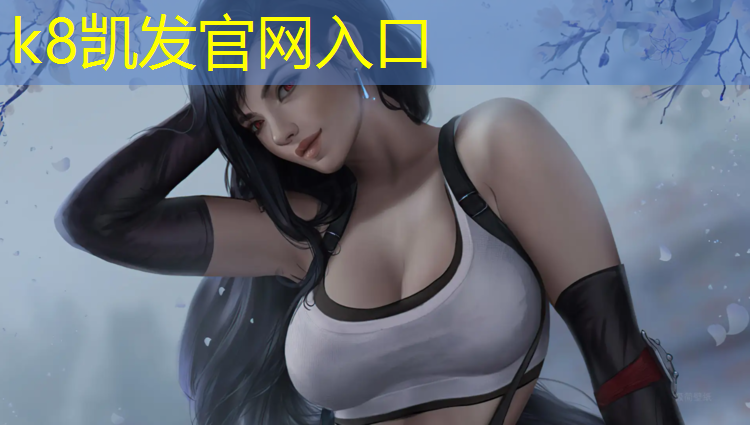 k8凯发官网入口：网球网架便携式12米
