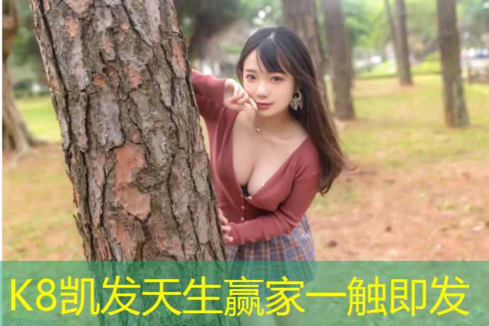 k8凯发官网入口：更多选择，更多乐趣！室外体育健身器材配件必备