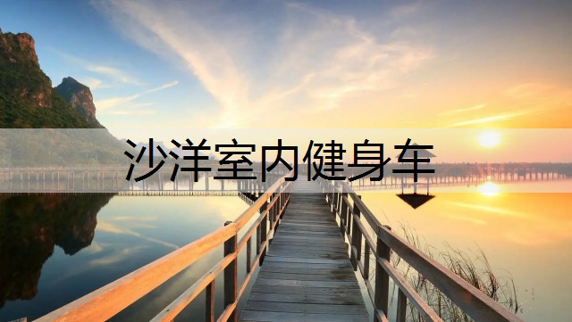 沙洋室内健身车