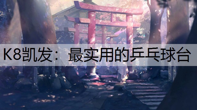 最实用的乒乓球台