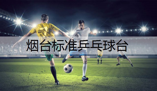 烟台标准乒乓球台
