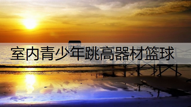 室内青少年跳高器材篮球