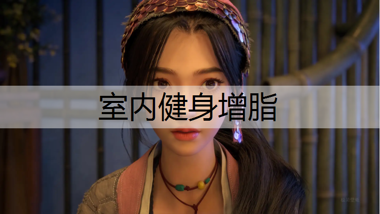 室内健身增脂