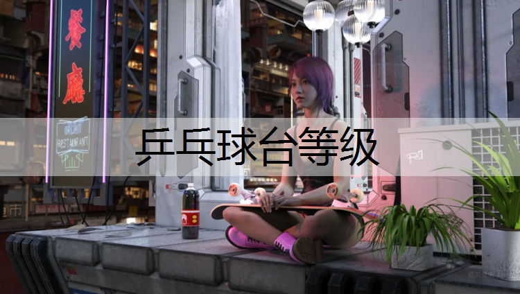 乒乓球台等级