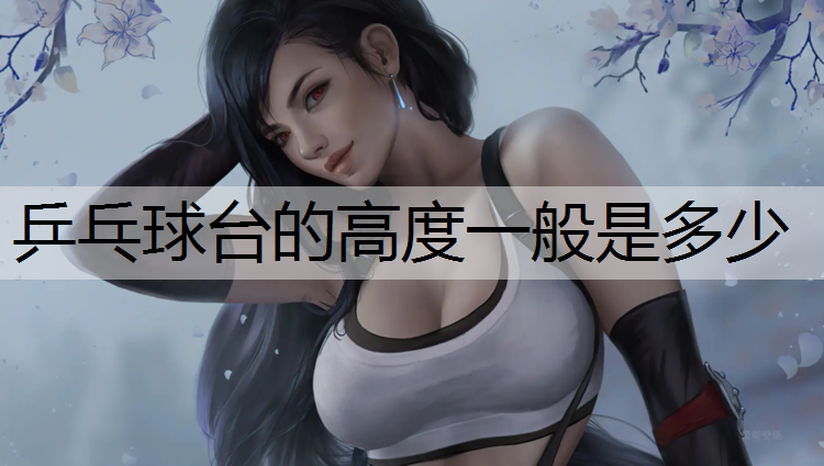 乒乓球台的高度一般是多少