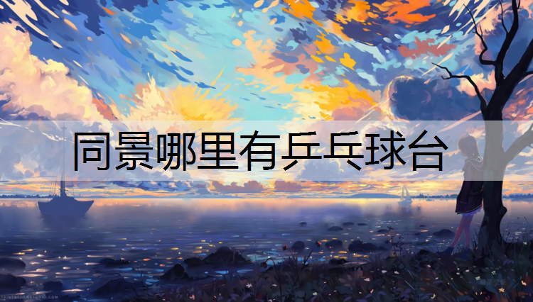 同景哪里有乒乓球台