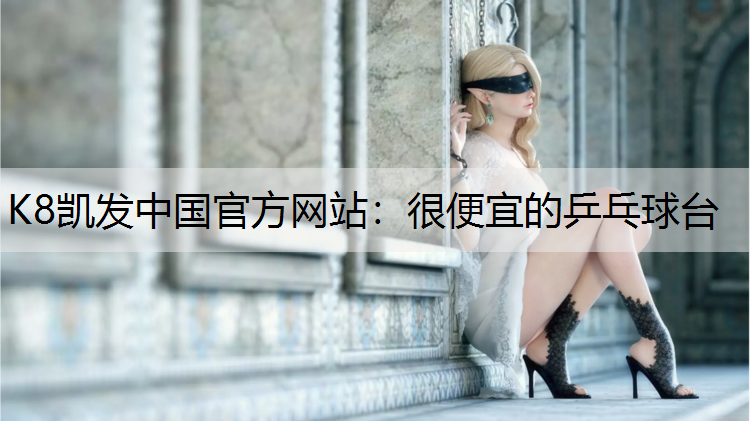 很便宜的乒乓球台